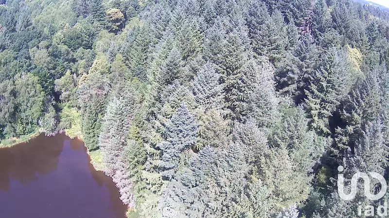 Étang de pêche de 3,5 ha à Nieul — photo 3