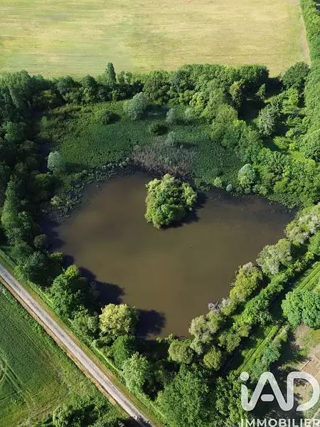 Étang de pêche à Usson-du-Poitou