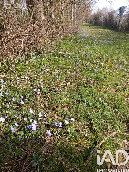 Étang de pêche à Usson-du-Poitou — photo 3