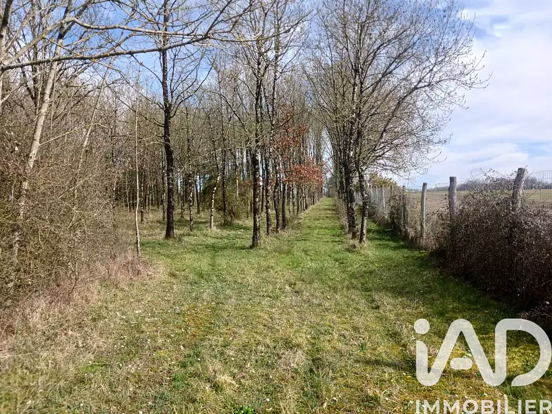 Étang de pêche à Usson-du-Poitou — photo 4