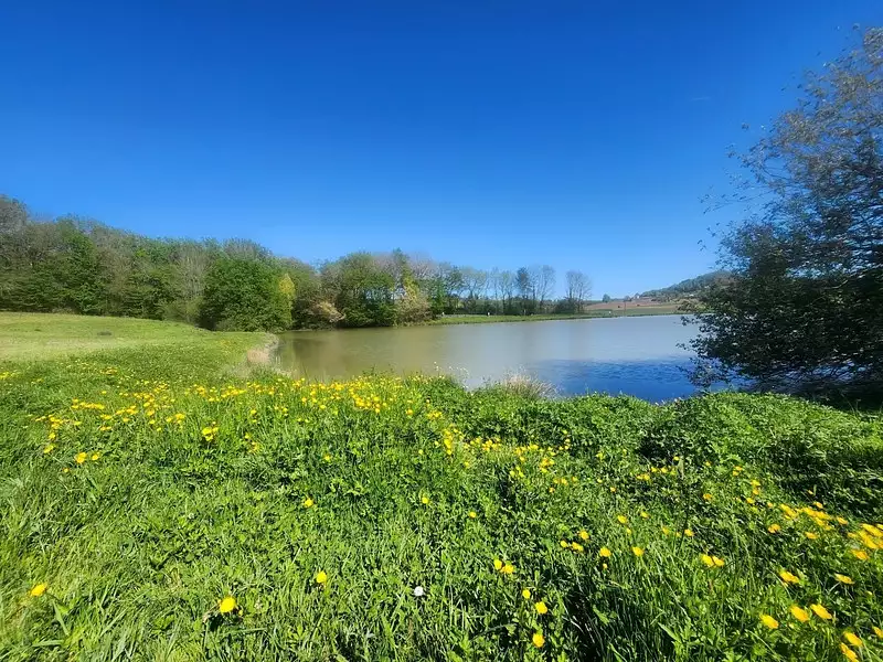 Étang de pêche à Villeneuve-sur-Lot — photo 5