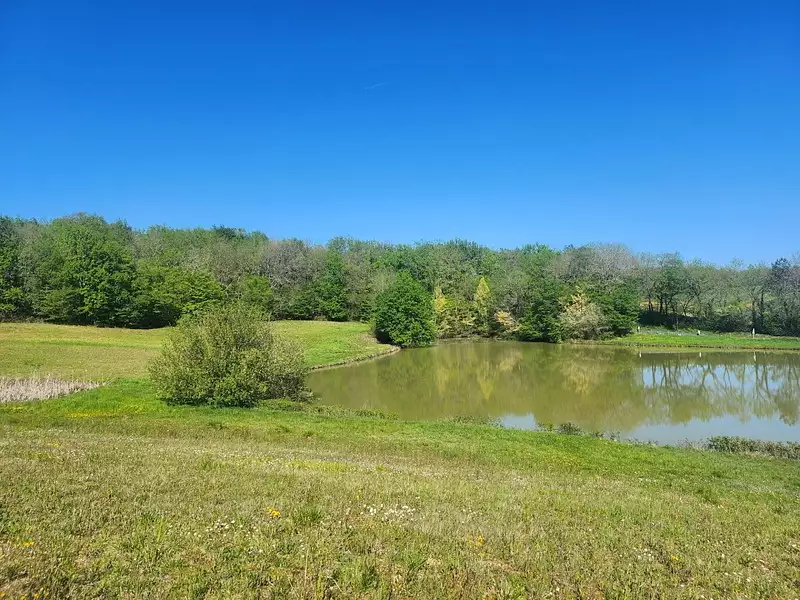 Étang de pêche à Villeneuve-sur-Lot — photo 5