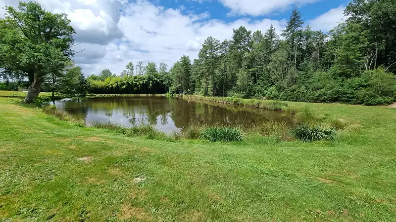 Étang d'agrément à Augignac — photo 4