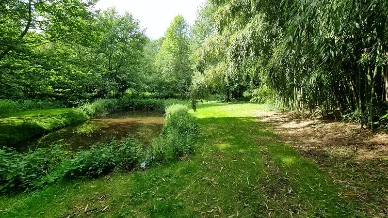Étang d'agrément à Augignac — photo 4