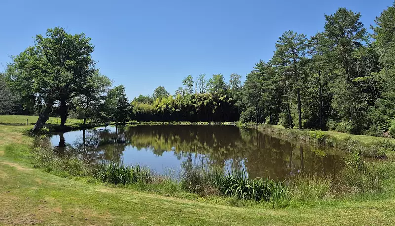 Étang d'agrément à Augignac — photo 2