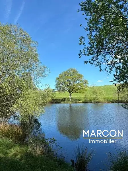 Étang de pêche à Montaigut-le-Blanc — photo 2