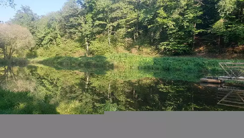 Étang d'agrément à Saint-Léonard-de-Noblat — photo 3
