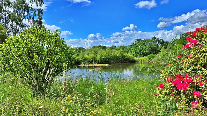 Étang d'agrément de 2,3 ha à Saint-Gence — photo 2
