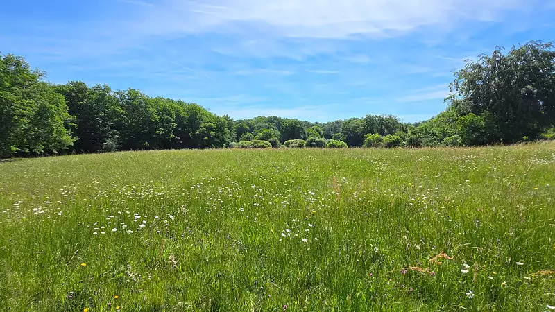 Étang d'agrément de 2,3 ha à Saint-Gence — photo 5