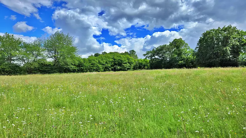 Étang d'agrément de 2,3 ha à Saint-Gence — photo 4