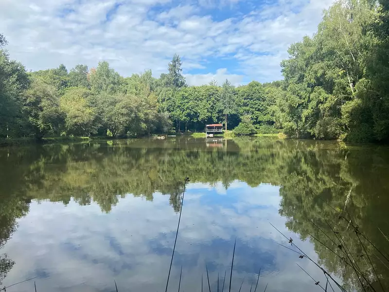 Étang de pêche à Roussines