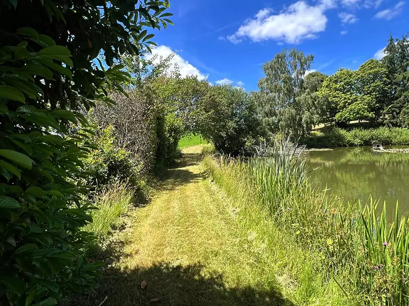 Étang d'agrément à Sarlande — photo 4