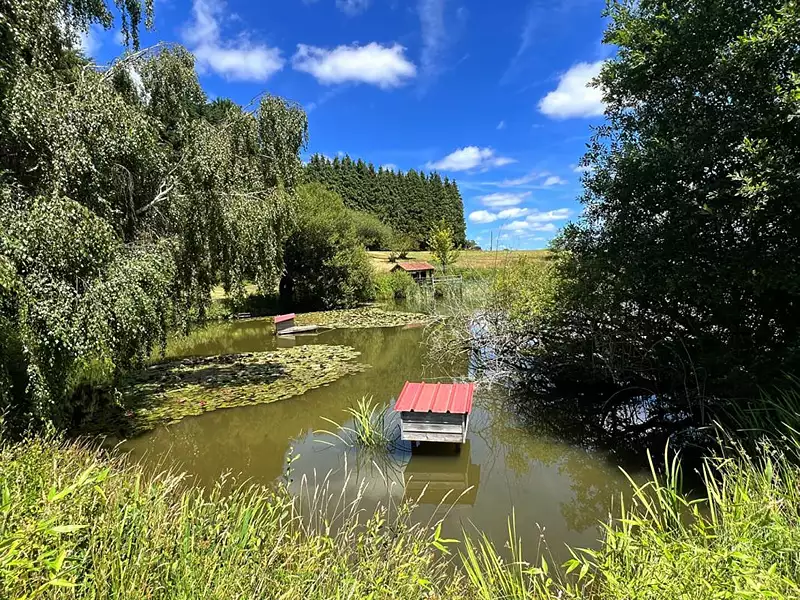 Étang d'agrément à Sarlande — photo 2