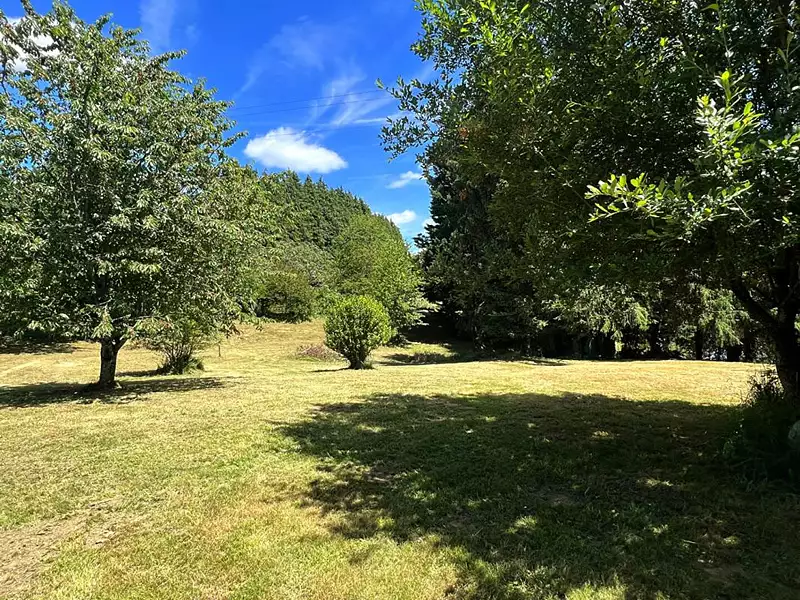 Étang d'agrément à Sarlande — photo 4