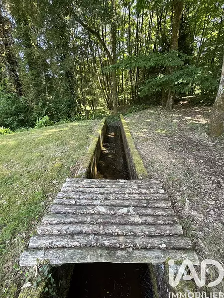 Étang d'agrément à Bonnac-la-Côte — photo 5