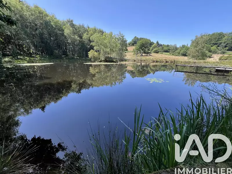 Étang d'agrément à Bonnac-la-Côte — photo 4