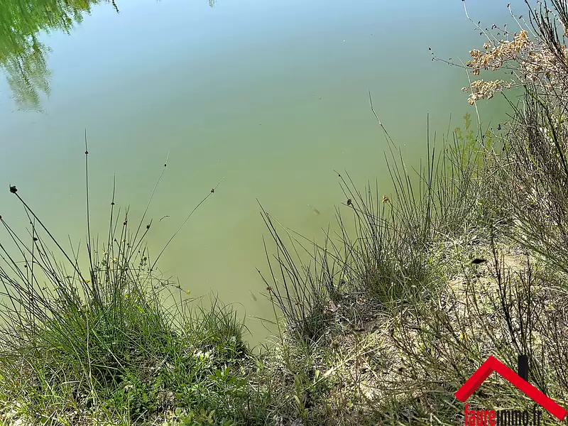 Étang de pêche de 2 ha à Mansac — photo 3