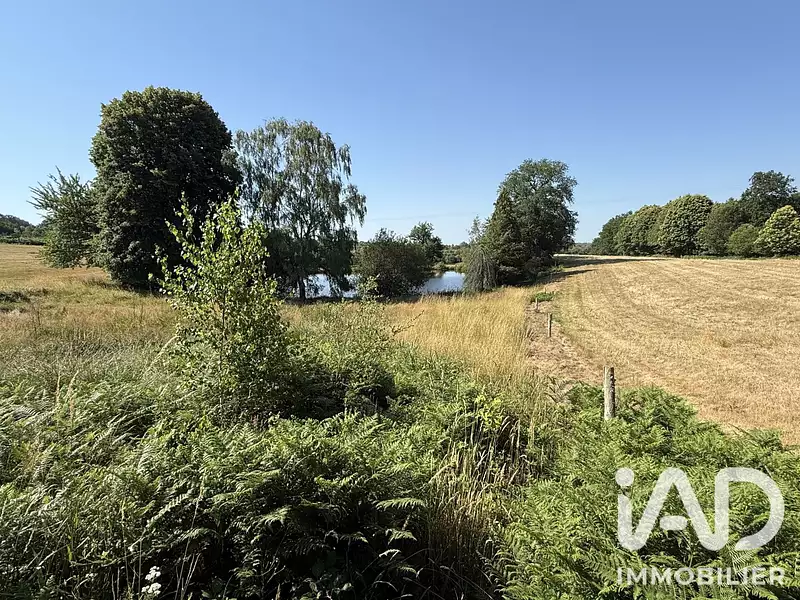 Étang de pêche à Bussière-Galant — photo 3