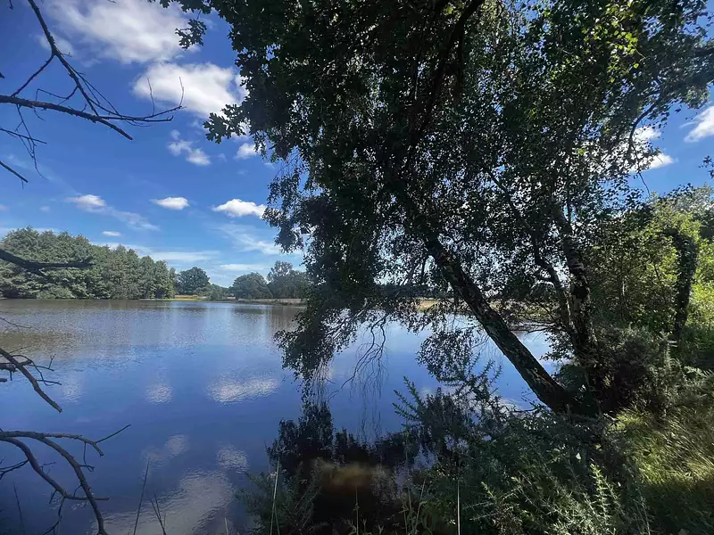 Étang de pêche à Confolens — photo 3