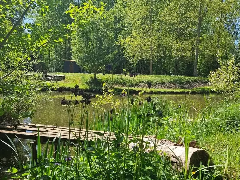 Étang de pêche à Dissay (86)