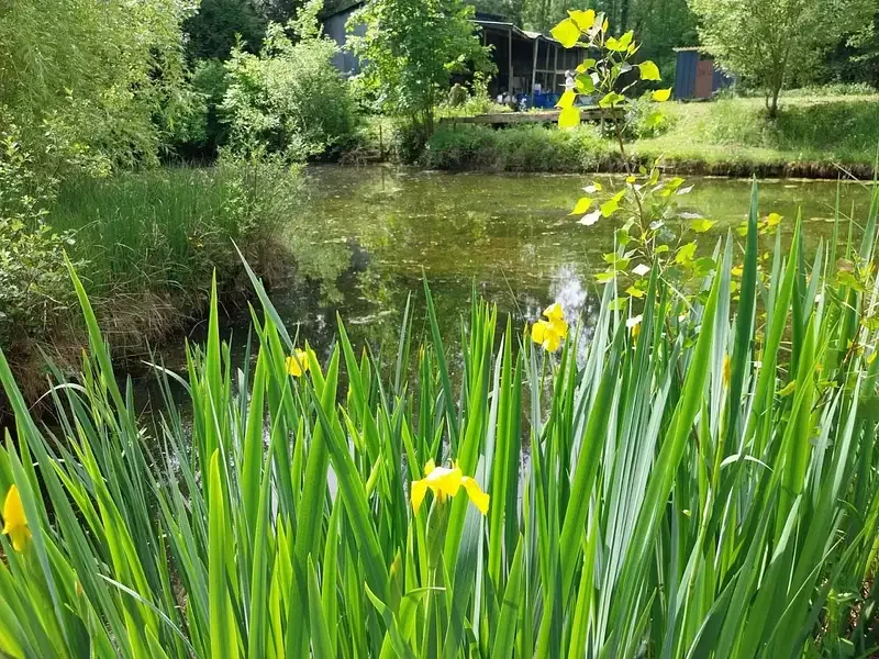Étang de pêche à Dissay (86) — photo 3