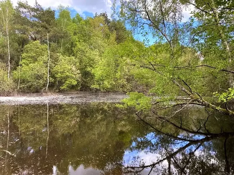 Étang de loisir à Dussac (24) — photo 2