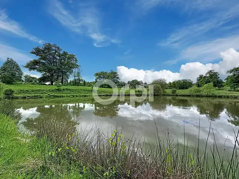 Étang de pêche à Nantiat (87) — photo 4