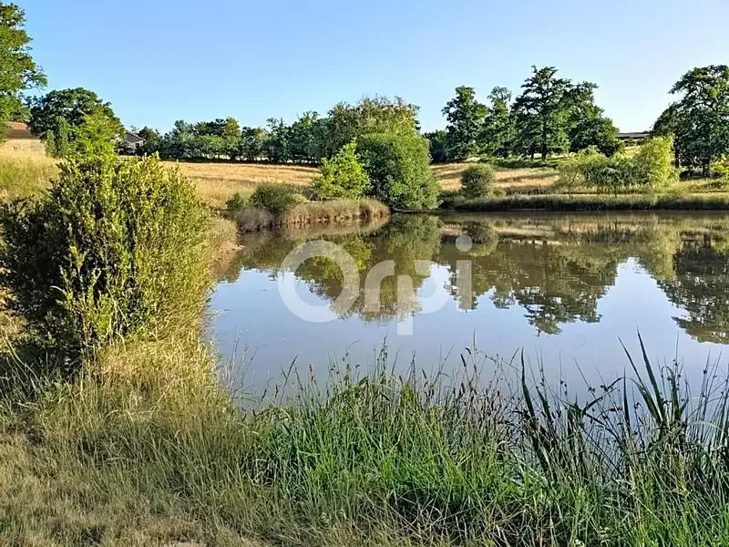 Étang de pêche à Nantiat (87) — photo 5