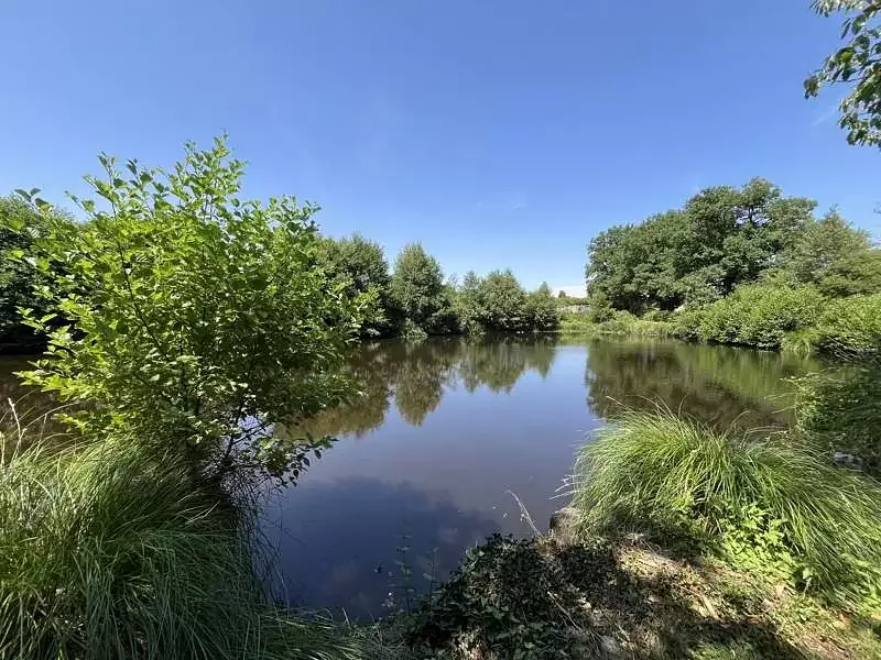 Étang de pêche à Dompierre Les Eglises (87)