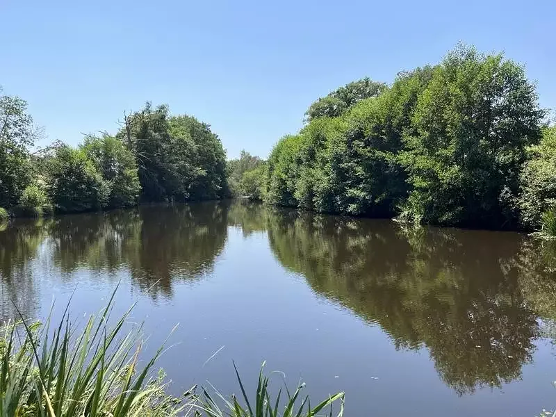Étang de pêche à Dompierre Les Eglises (87) — photo 2