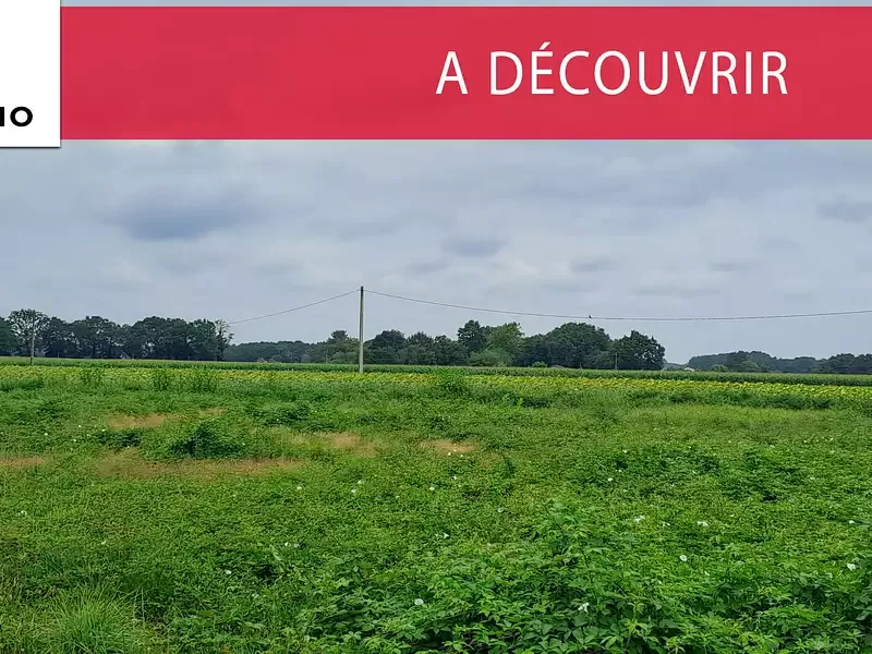 Étang de loisir à Cauna (40) — photo 4