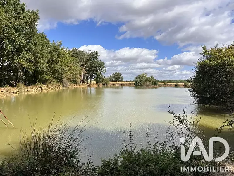 Étang de pêche à Usson Du Poitou (86) — photo 3