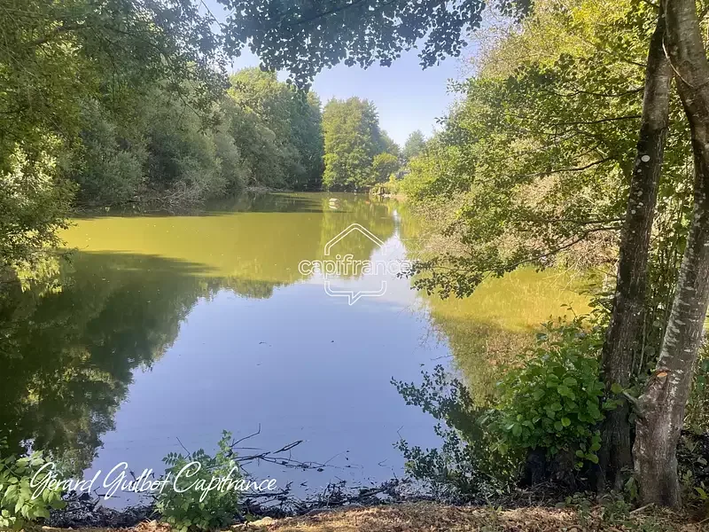 Étang de pêche à Parthenay (79) — photo 2
