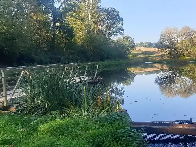 Étang de loisir à Saint Leonard De Noblat (87) — photo 2