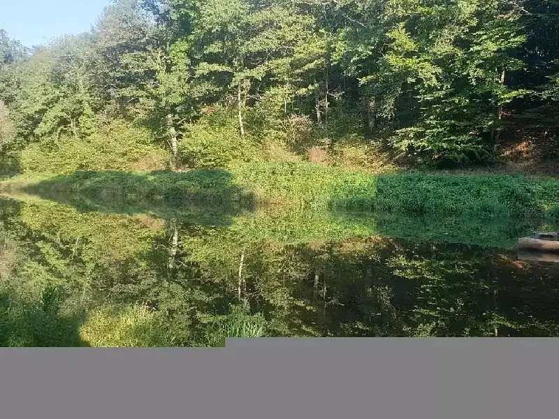 Étang de loisir à Saint Leonard De Noblat (87) — photo 3
