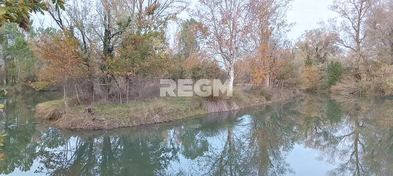 Étang d'agrément à Queyrac — photo 4