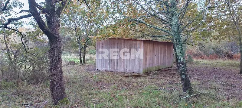 Étang d'agrément à Queyrac