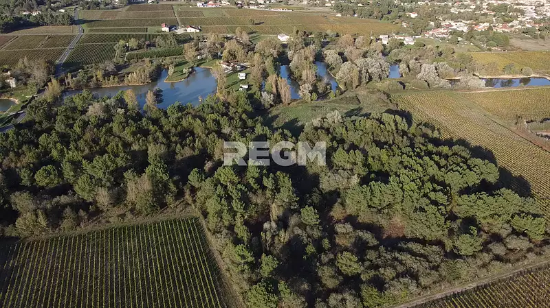 Étang d'agrément à Queyrac