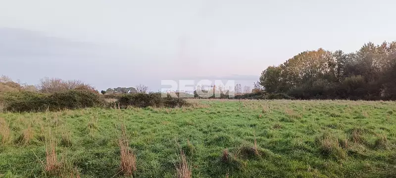 Leisure lake and fishery, 12.3 ha with fishing pond in Aquitaine — photo 5