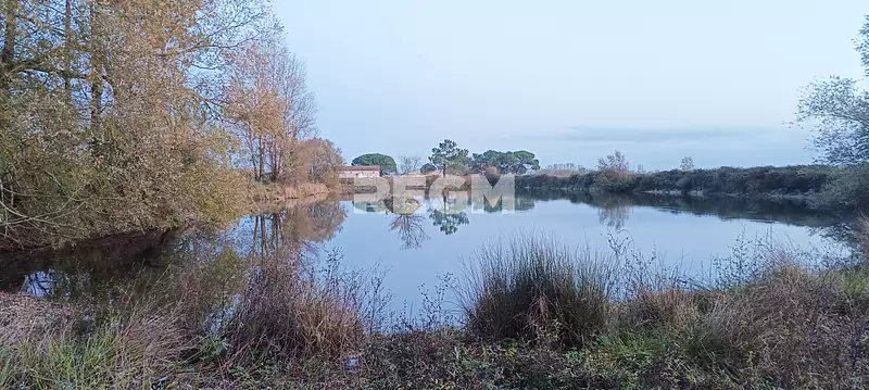 Étang d'agrément à Queyrac — photo 3