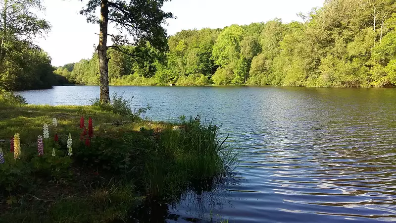 Étang de pêche à ch Compreignac — photo 2