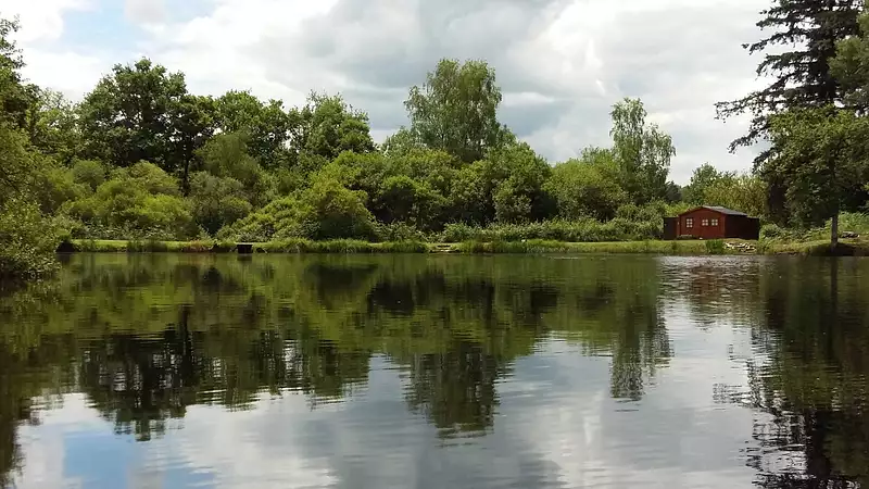 Étang de pêche à ch Compreignac — photo 3