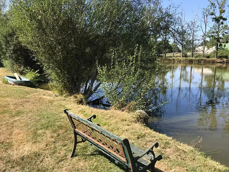 Étang de pêche à Bressuire — photo 4