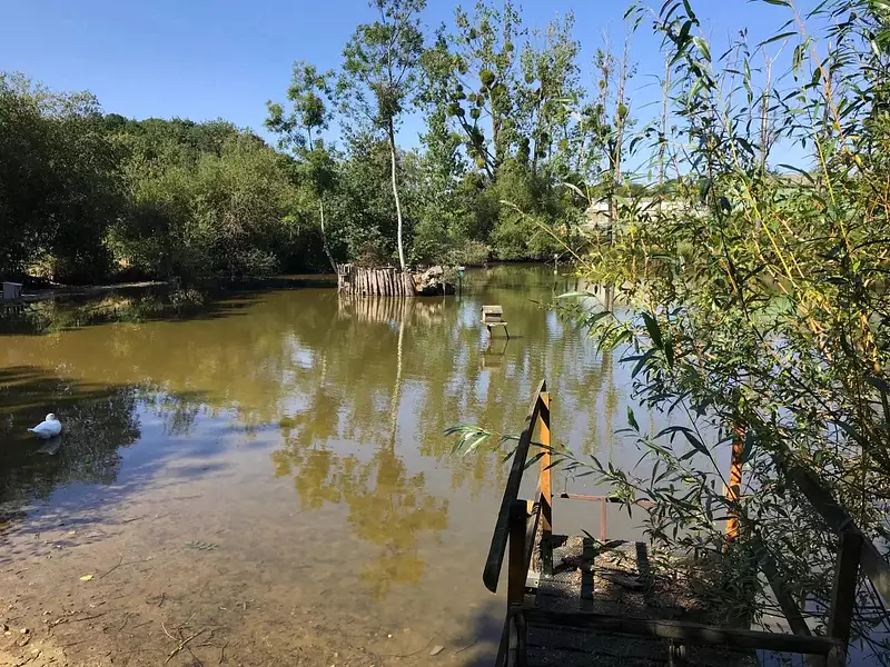 Étang de pêche à Bressuire — photo 2
