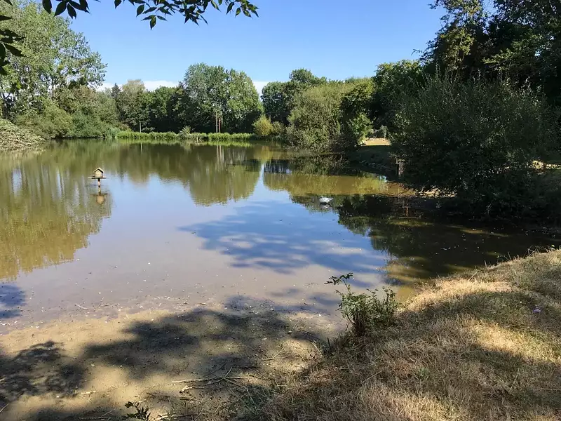Étang de pêche à Bressuire — photo 3