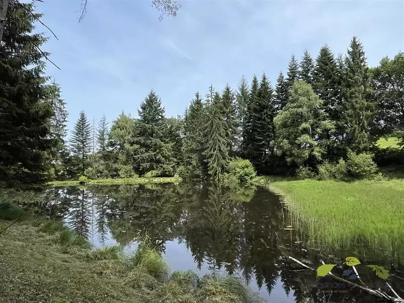 Étang d'agrément à Moissannes — photo 2