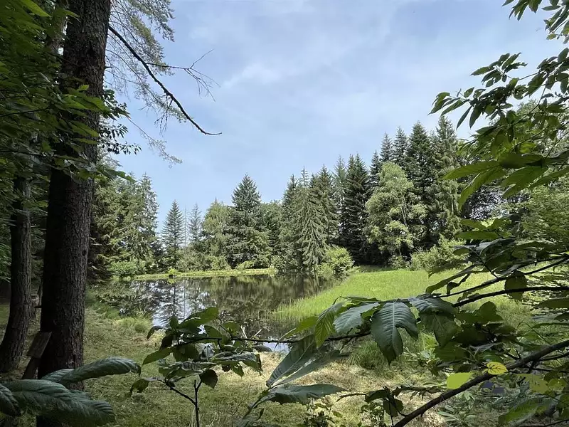 Étang d'agrément à Moissannes — photo 4