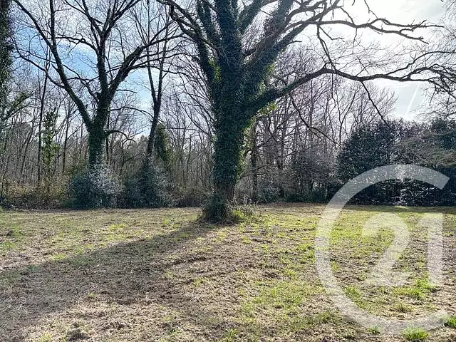 Étang d'agrément à Mios — photo 2