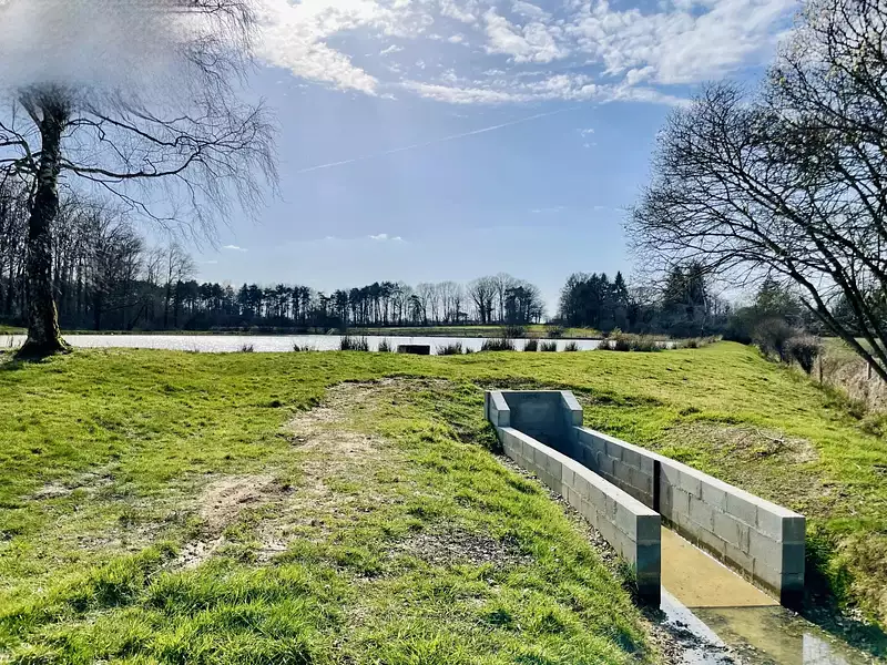 Étang d'agrément à Brillac — photo 3