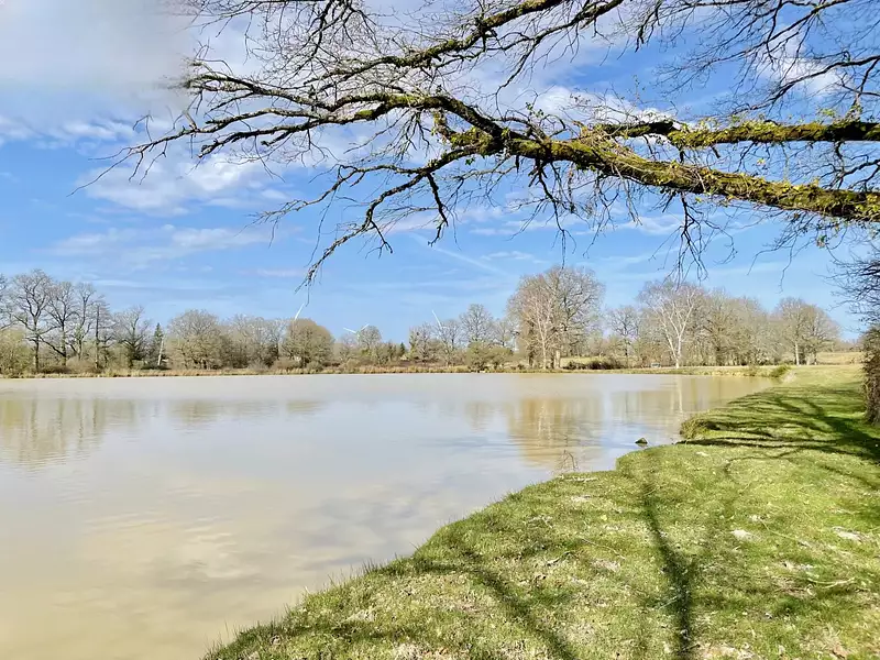 Leisure lake and grounds, 2.96 ha in Charente — photo 5